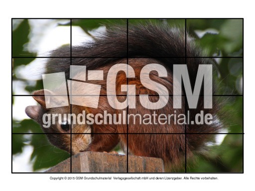 Puzzle-Eichhörnchen-17.pdf